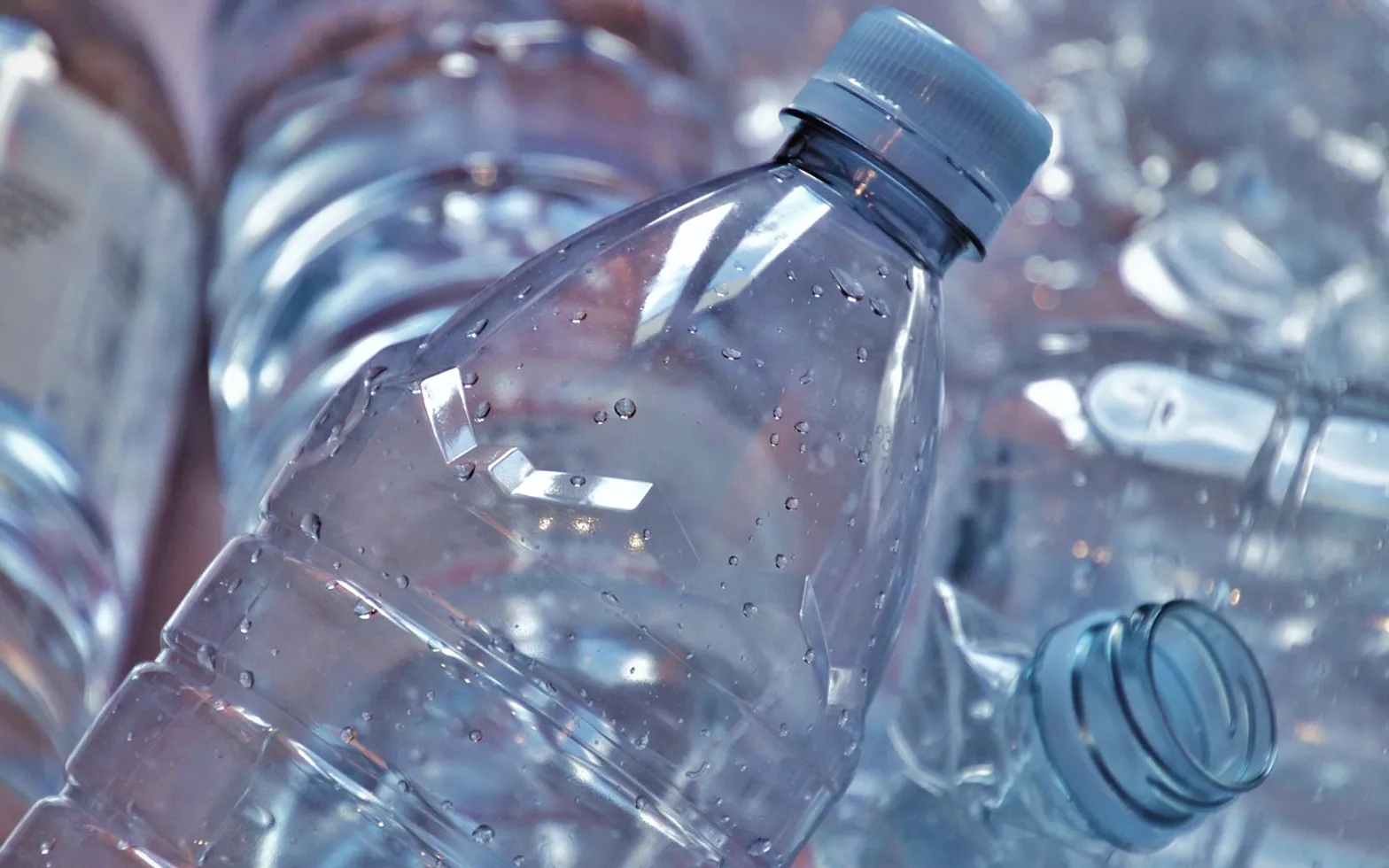 The bottle, plastic and segregation