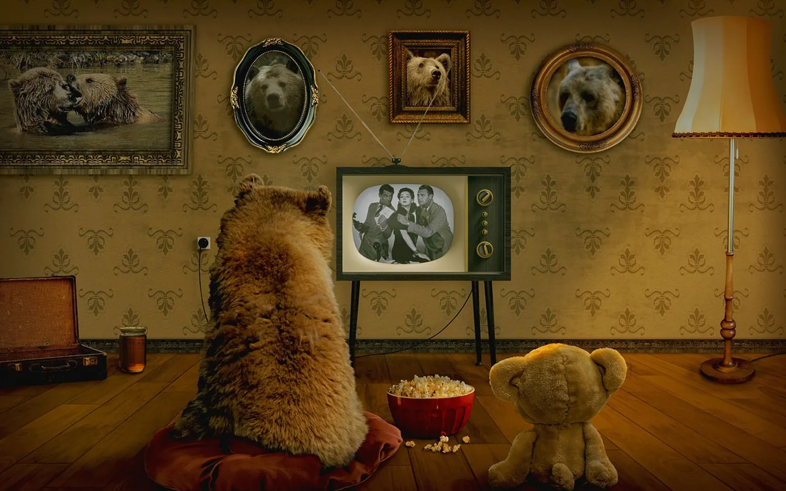 Bear, teddy and watch tv