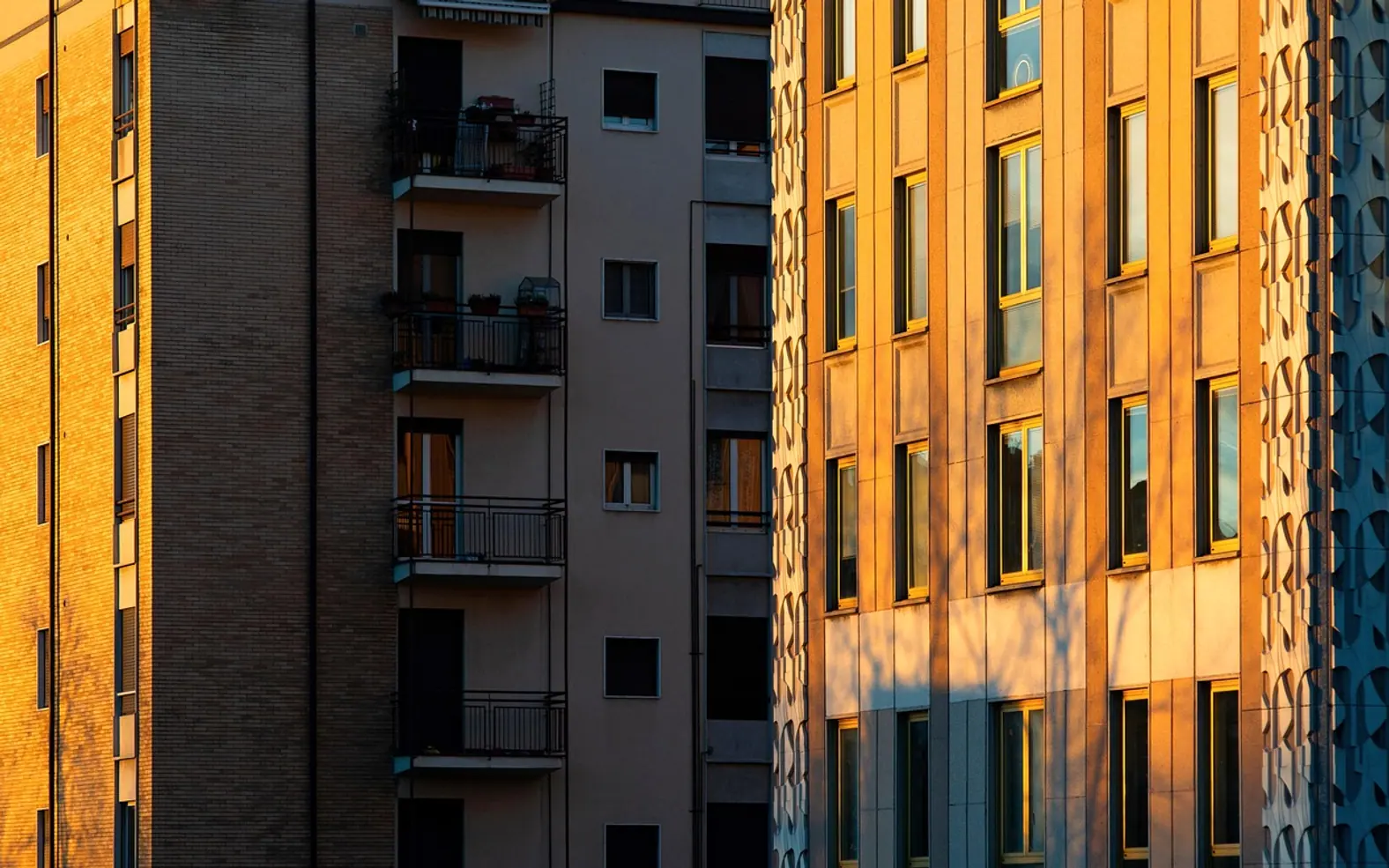 Building, nature and windows