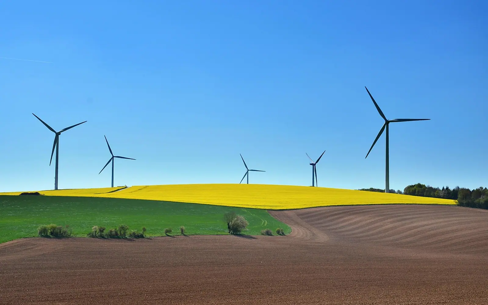Sustainable development, wind turbine and wind