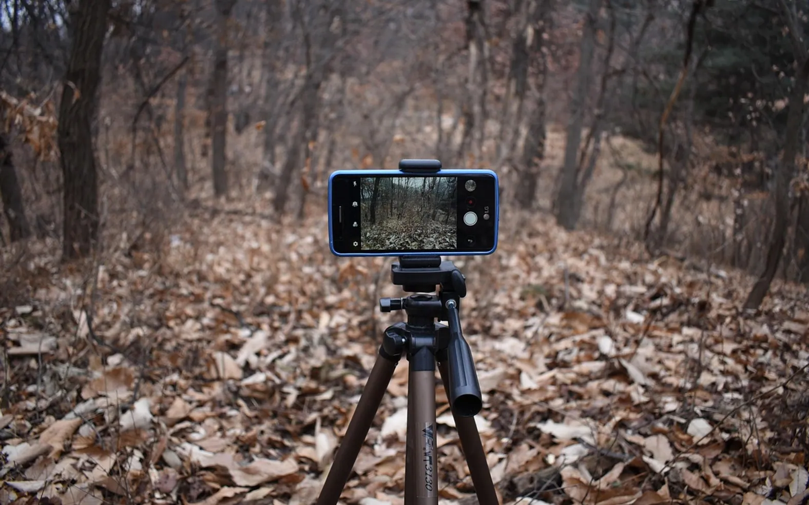 Smartphone, camera and video